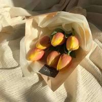 最终耗尽一个人精力的,往往是自己的欲望。白岩松经典励志语录