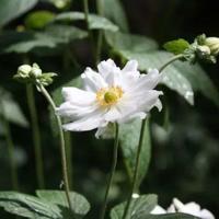 笑死人不偿命的搞笑个性签名_搞笑短句