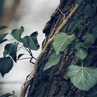 100句关于爱情的句子大全_爱情句子