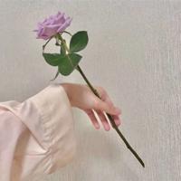 新年愿望
