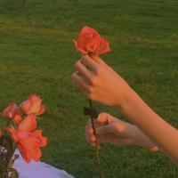 有关于元稹的经典诗句 元稹句子