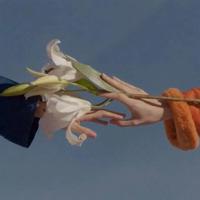 郭敬明最新经典语录 我没有奢望,我只想你快乐,没有哀伤