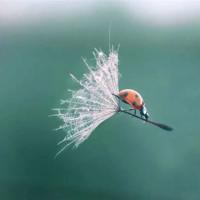 经典幽默对话大全摘抄