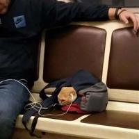 值得收藏的励志名言警句_励志句子