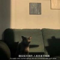 失恋伤感个性签名,失恋qq个性签名
