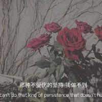 与雪共舞,与梅同心