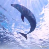 能笑死人的搞笑句子大全,搞笑短语