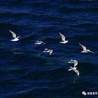 佛语禅心100句话·佛语短句