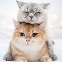 综合笑话|综合笑话大全|搞笑笑点等你来