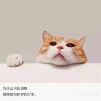 形容人极度失望心灰意冷的诗句,失望短句