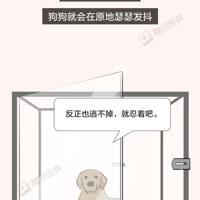 感慨人生的句子100句,感慨句子