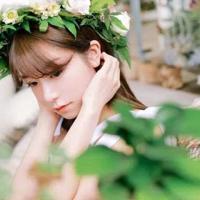 有关于描写风的诗句大全|风短句