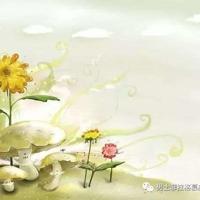 伤感句子看完哭了那种,伤感句子