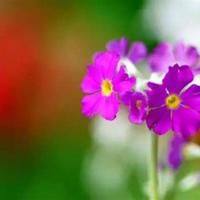 值得收藏的励志名言警句_励志句子