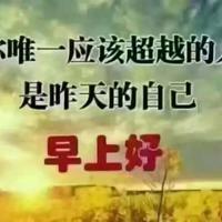 少妇的诱惑 yin乱大合集 粗吗舒不舒服宝贝h