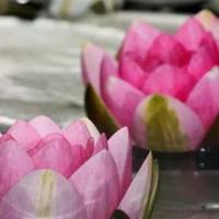 细雨打湿了青石小路,水珠挂在草间。山谷,溪水涓涓地流着。