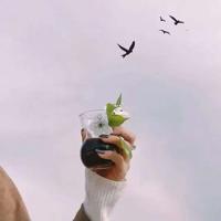 孩子爸爸不在,我把自己当做礼物送给他