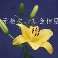 非常有意思的经典搞笑句子/经典短句