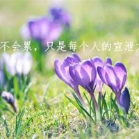 喊一声妈妈吧