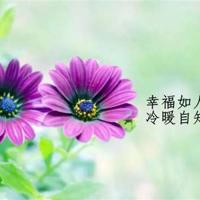 我失眠三天了,感谢这三天我都能回忆起你。失眠心情说说