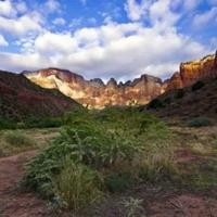 感悟人生的禅意句子/禅意短语