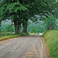 100句唯美的走心短句❤唯美语录