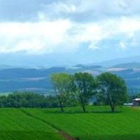 关于几米的爱情伤感语录 多谢你的绝情，让我学会死心