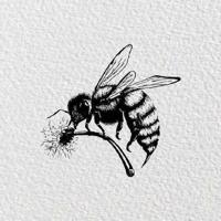 抖音句子有关爱情的话,抖音句子