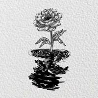 我爱你是因为我没别人可爱