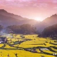 别问我为什么爱你,因为你就是我不爱别人的理由。