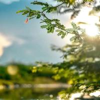 早安短信,早安问候短信大全