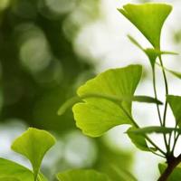 恶搞整人的短信息大全❤恶搞短句