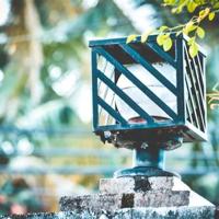 享受快乐生活,才是生命最根本的意义