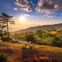 三种鱼:鲥龟、刀鱼和河豚