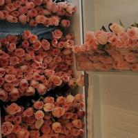 表达心情的情感句子100句/情感短句