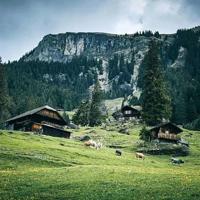 “ 老歌越听越有味,旧人越看越无情 ” 