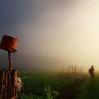 经典美文摘抄(10篇)