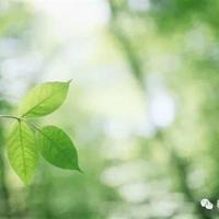 有时候,一句话说岔了,我们就再没见过面