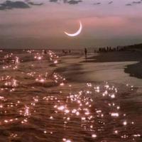 中学生美文摘抄