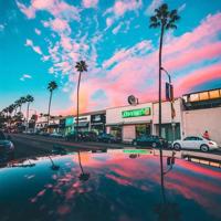 林语堂经典语句、张爱玲经典语录