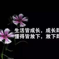 鸟巢之和你在一起