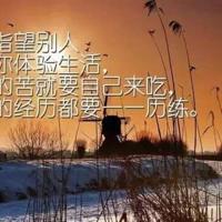 莎士比亚的经典语句 质朴却比巧妙的言辞更能打动我的心