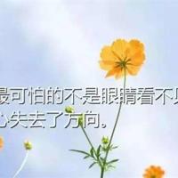 50句精选经典的爱情名言·精选短句