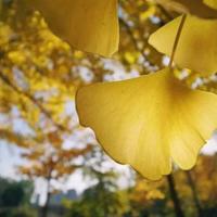 霸气正能量早安句子短句心情，早安短句