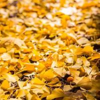 人生就像标点符号