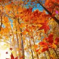 有关儿童的搞笑段子精选