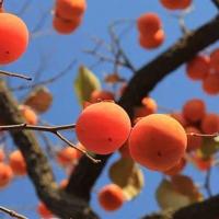 表达心情好的句子100句|心情一句话