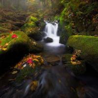 凌：我是世间的魔鬼 也是爱你的可怜鬼.