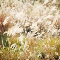 关于许嵩的经典语录 在城市的尽头,看喷泉池的细水长流