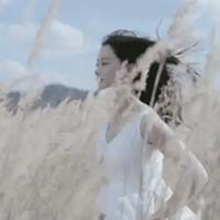 韩寒经典语录合集-爱上韩寒、爱上语录